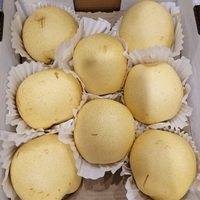 Thumbnail for Image of Asian Pears - 1 x 2.5 Kilos
