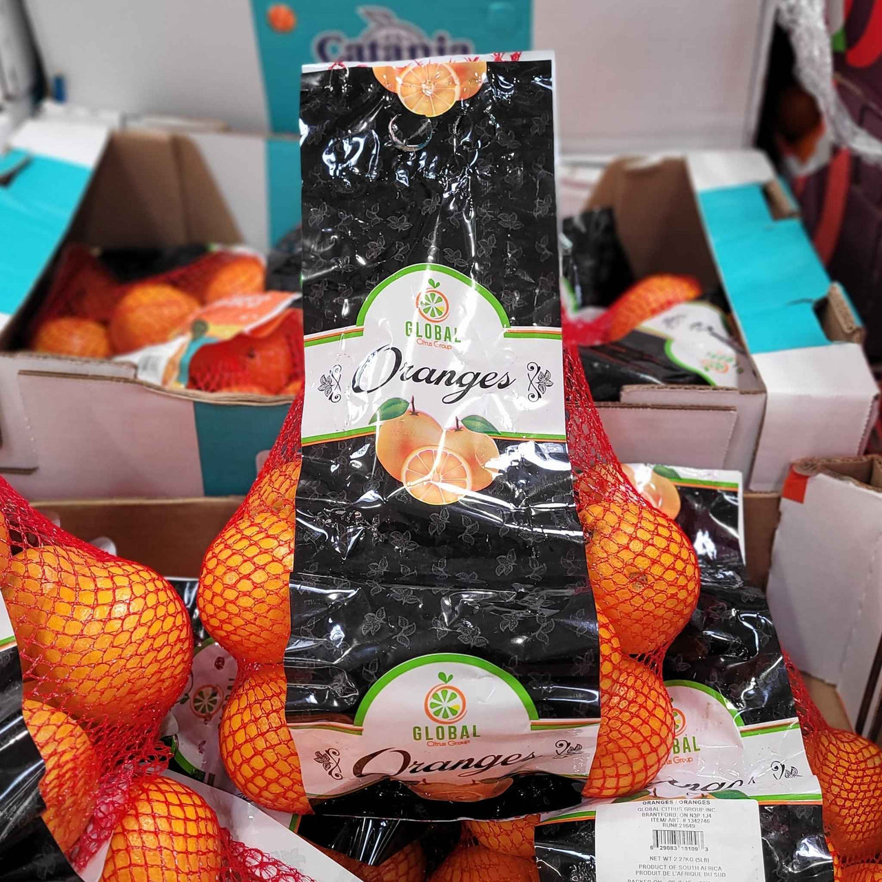 Image of Clementine Oranges - 1 x 2.27 Kilos