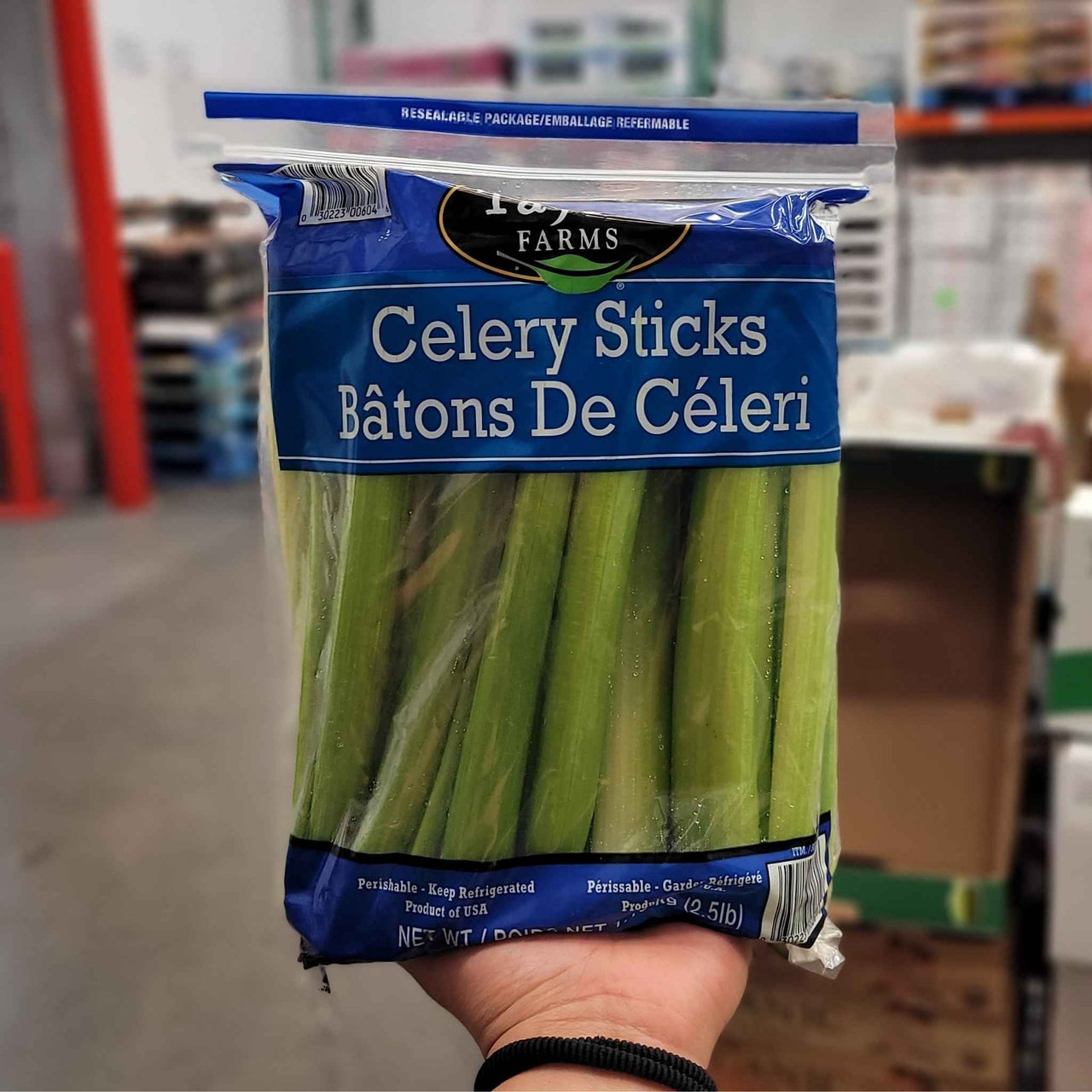 Image of Celery - 1 x 1.13 Kilos