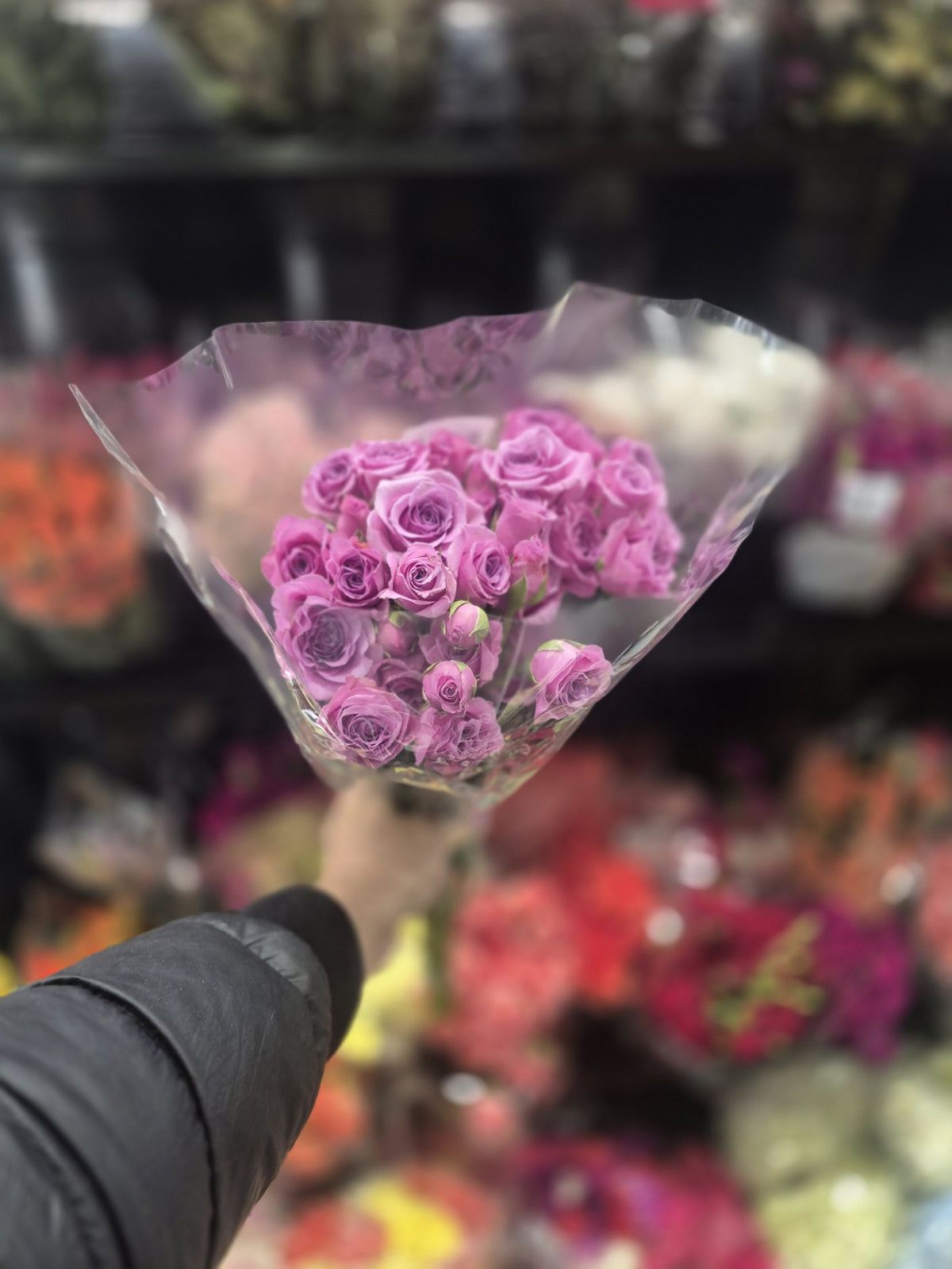Flowers 1 Bunch *ship at own risk - 1 x 2 KG