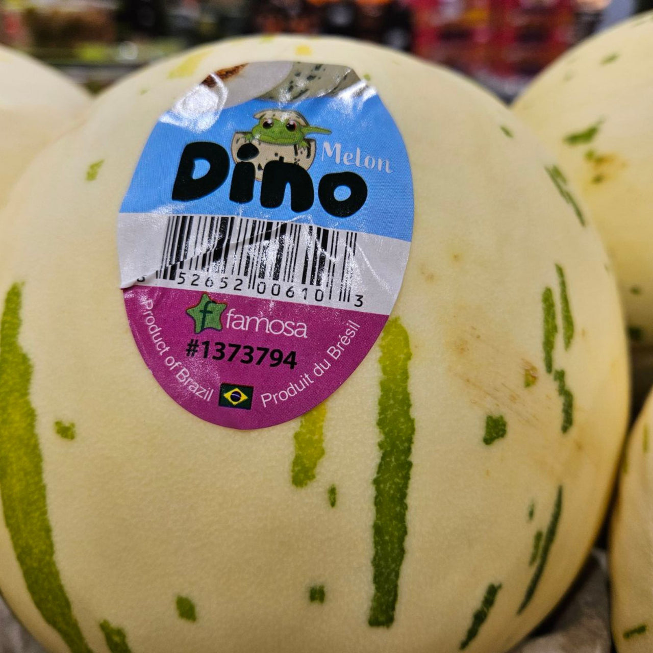 Image of Dino Melon