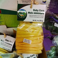 Thumbnail for Image of Sweet Baby Corn 510g