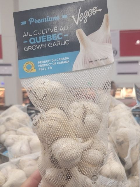 Image of Premium Whole Garlic