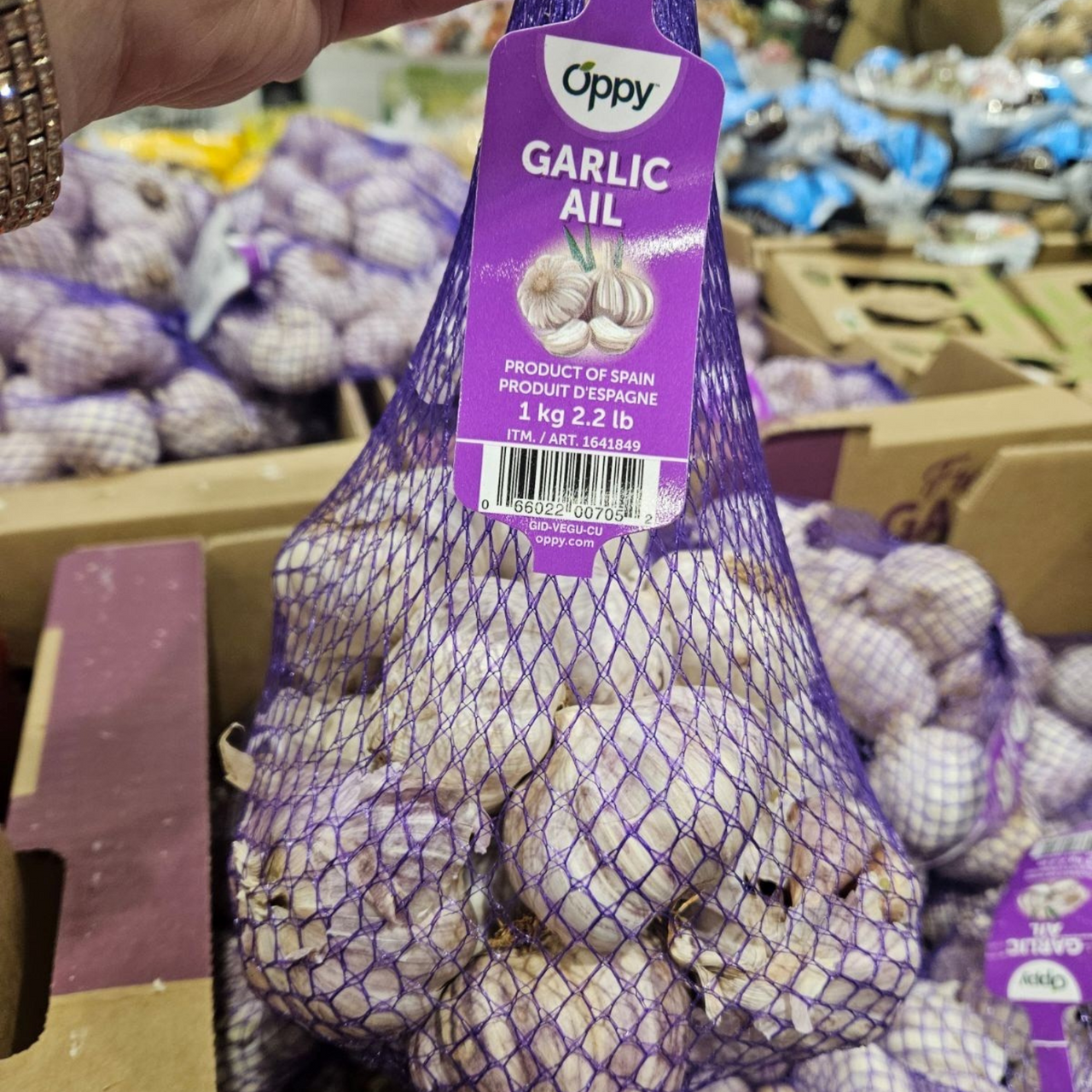 Image of Whole Spanish Garlic - 1 x 1000 Grams