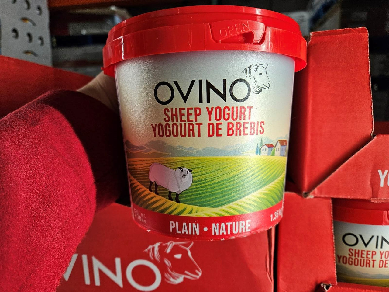 Image of Ovino 5% Plain Sheep Yogurt - 1 x 1.35 Kilos