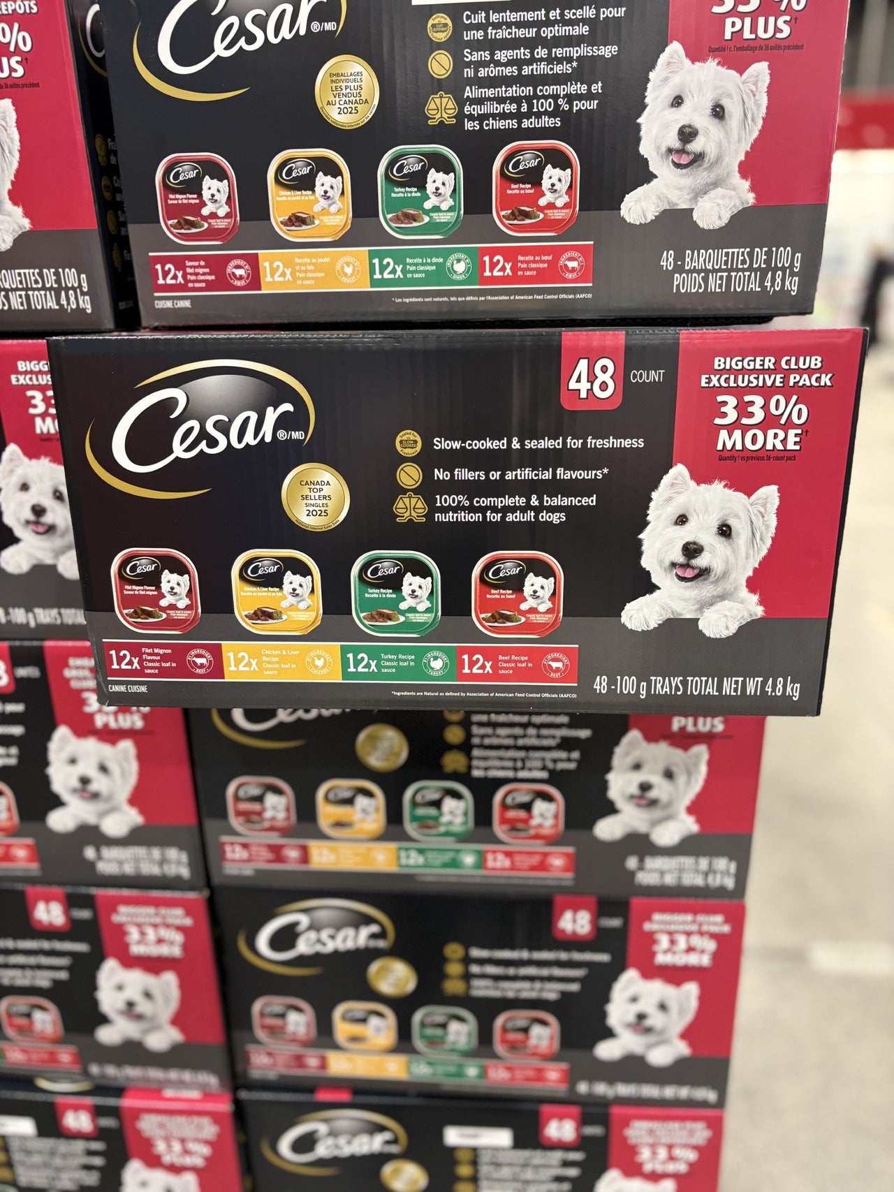 Cesar Wet Dog Food - 1 x 4.8 KG