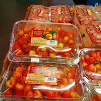 Thumbnail for Image of Rainier Cherries - 1 x 907 Grams