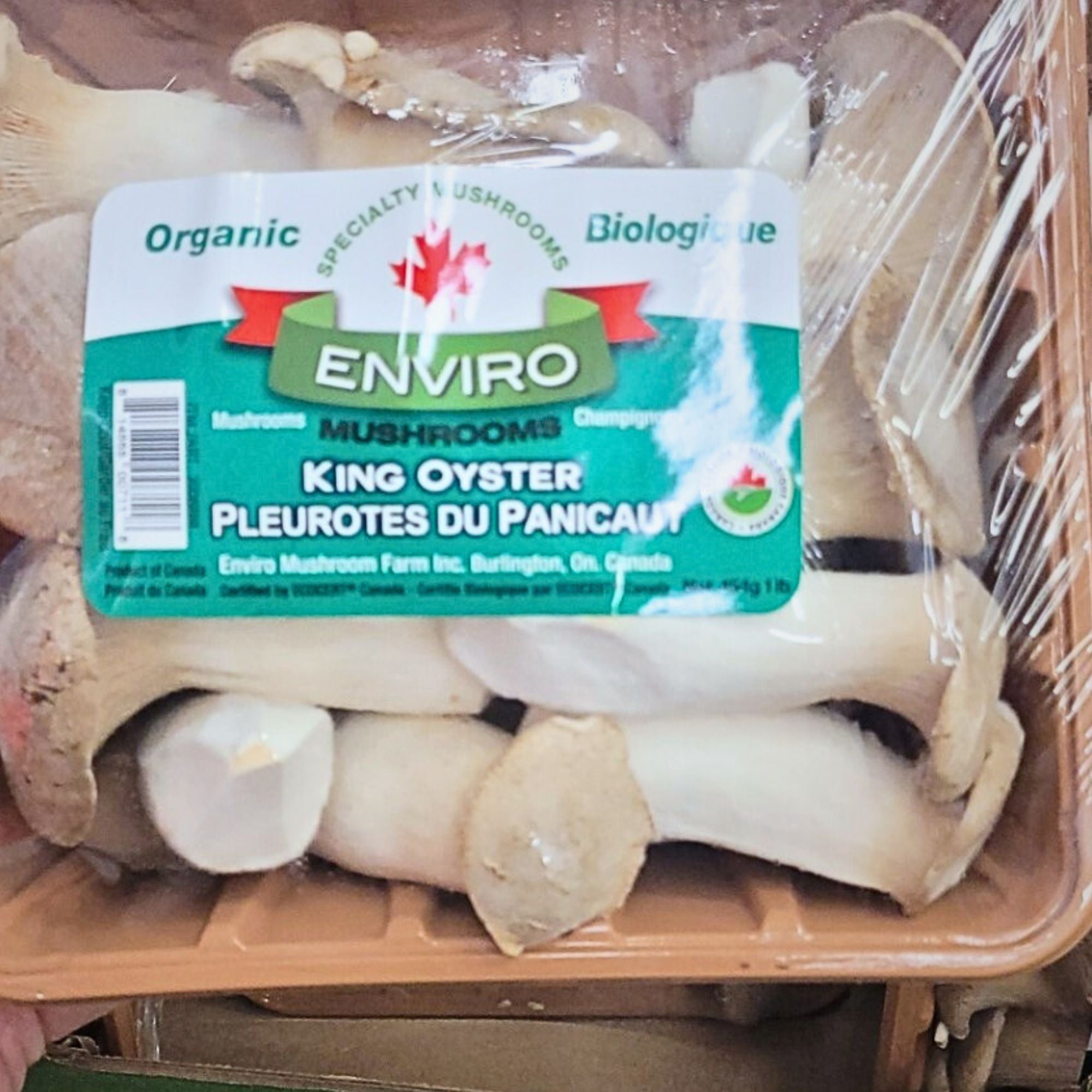 Organic King Oyster Mushroom 1 x 454 Grams Shipped to Nunavut The