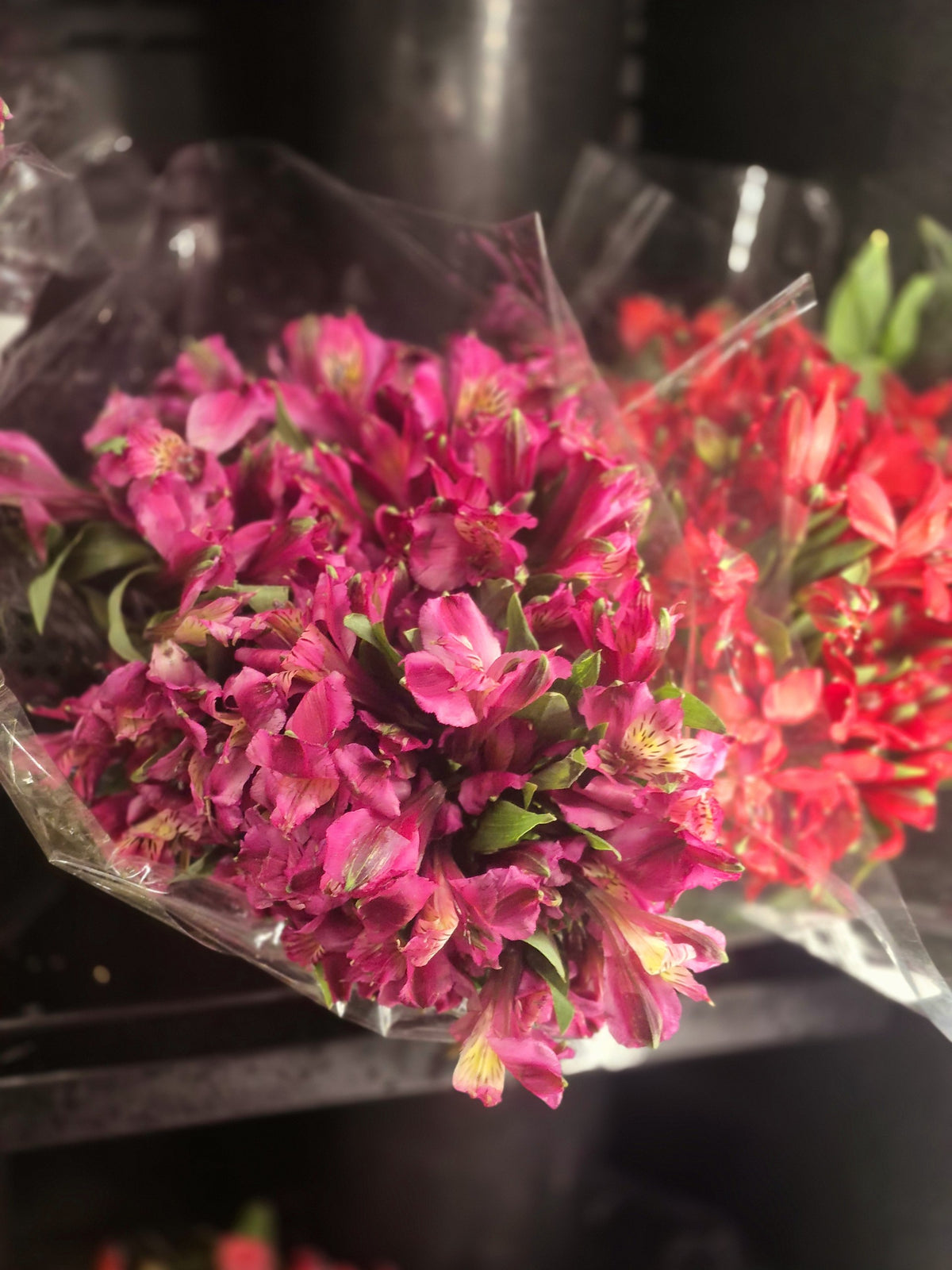 Flowers 1 Bunch *ship at own risk - 1 x 2 KG
