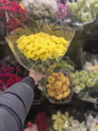 Thumbnail for Flowers 1 Bunch *ship at own risk - 1 x 2 KG
