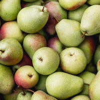 Thumbnail for Image of Bartlett Pears