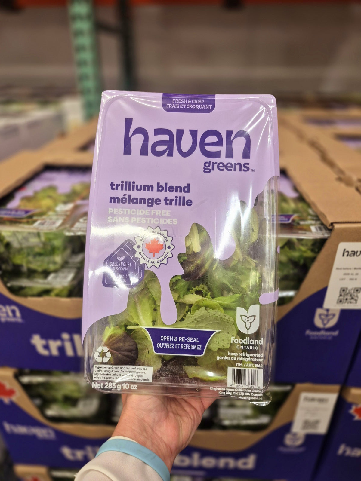 Trillium Blend Green & Red Lettuce - 1 x 283 Grams