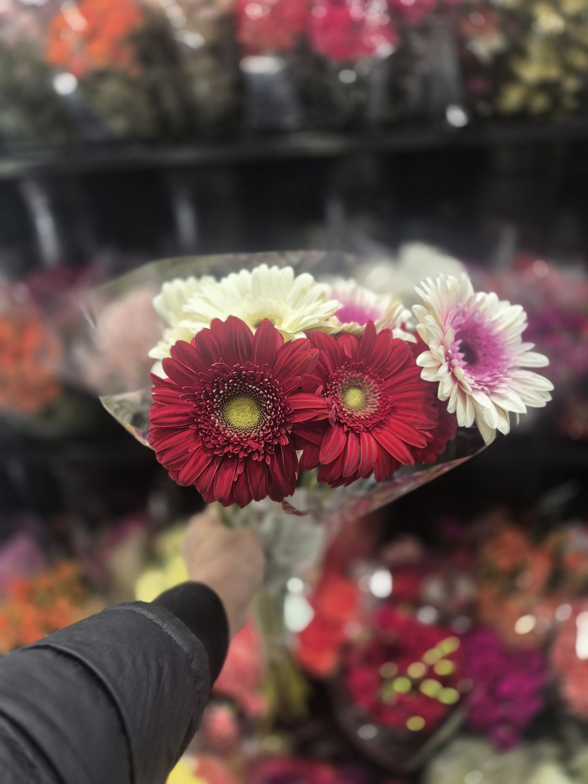 Flowers 1 Bunch *ship at own risk - 1 x 2 KG