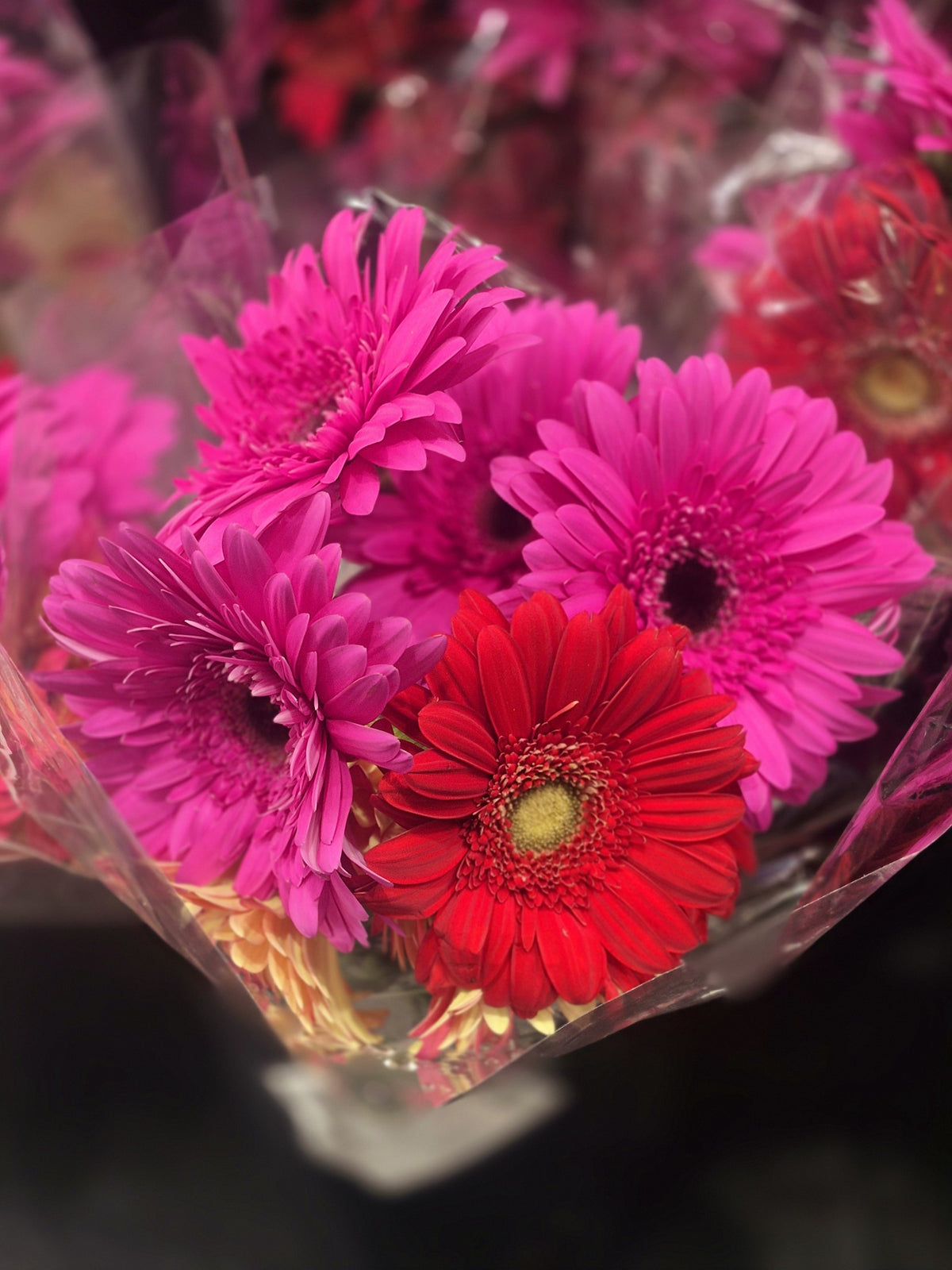 Flowers 1 Bunch *ship at own risk - 1 x 2 KG