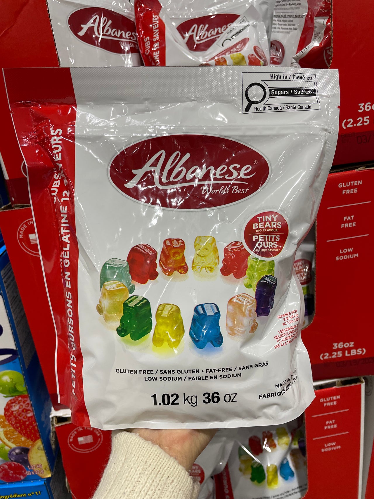 Image of Albanese Gummi Bear Cubs - 1 x 1.02 Kilos