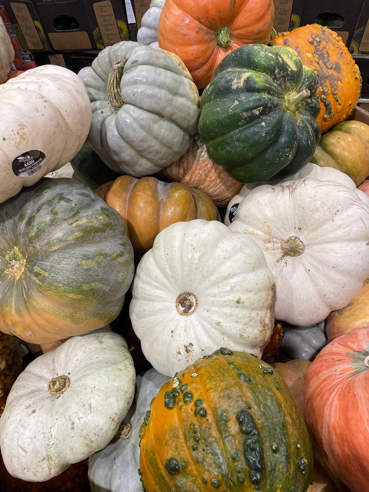 Image of Heirloom Pumpkins - 1 x 4 Kilos