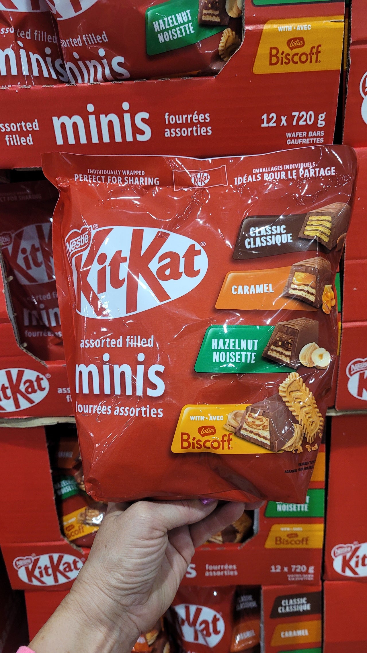 Image of Nestle Kit Kat Assorted Minis - 1 x 720 Grams