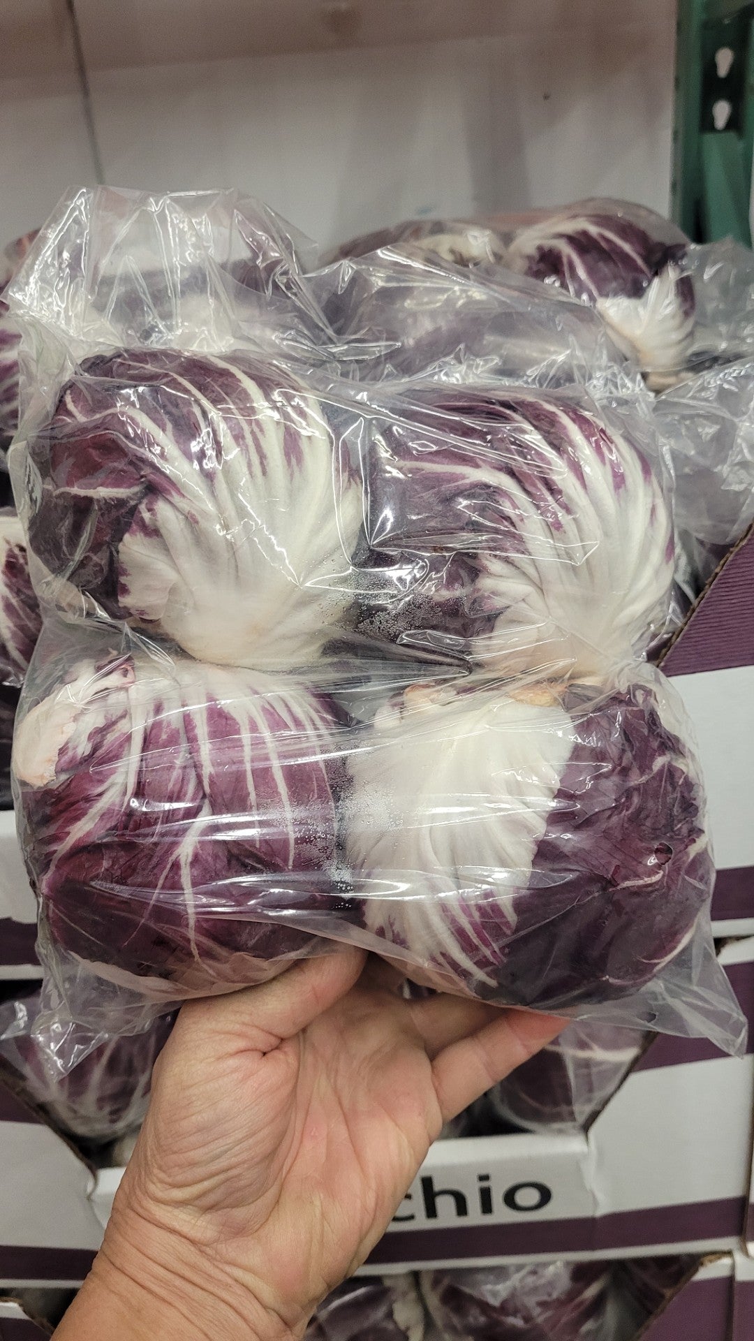 Image of Radicchio - 4 x 200 Grams