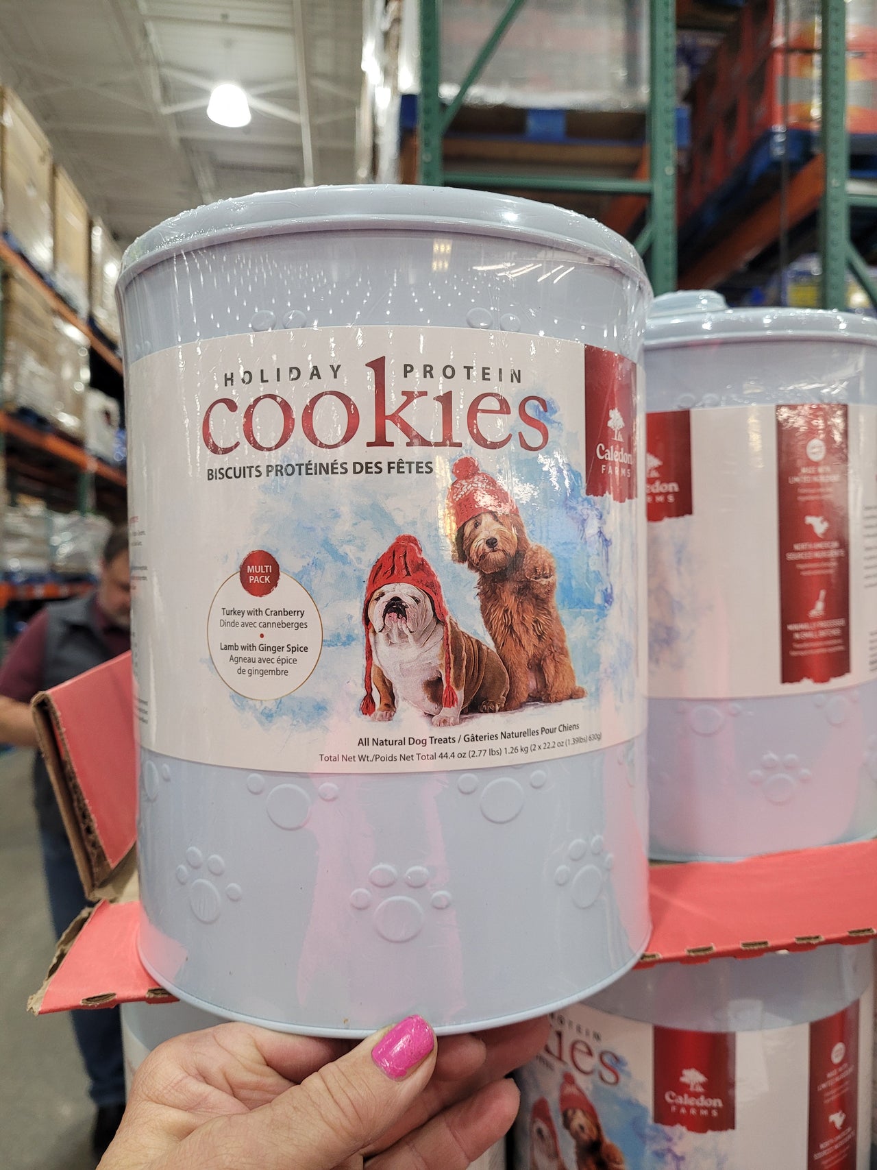 Image of Caledon Farms Holiday Cookie Tin - 1 x 1.26 Kilos