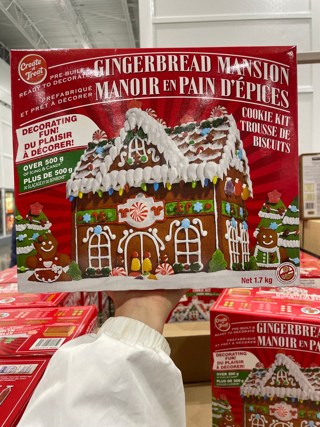 Image of Create a Treat Gingerbread Mansion - 1 x 1.68 Kilos