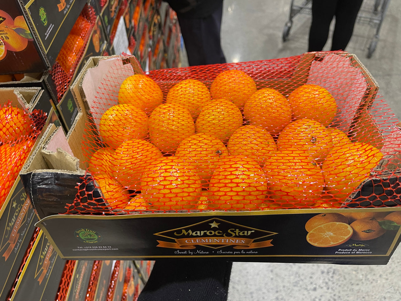 Image of Clementines - 1 x 2.27 Kilos