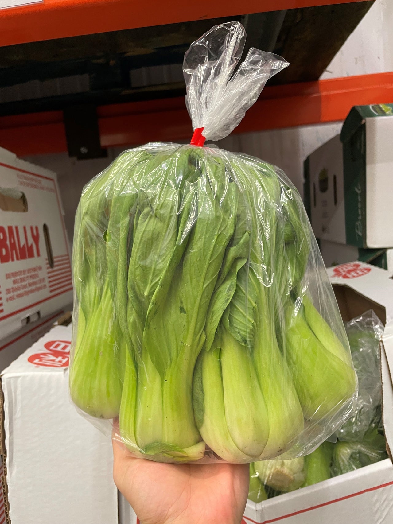 Image of Shanghai Bok Choy - 1 x 907 Grams