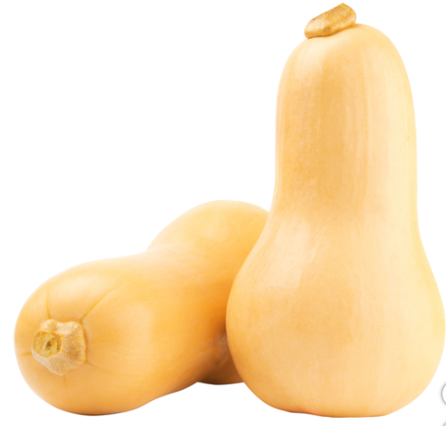 Butternut Squash - 1 x 3.18 Kilos