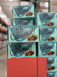 Thumbnail for Vachon Ah Caramel! Macchiato - 1 x 1008 KG