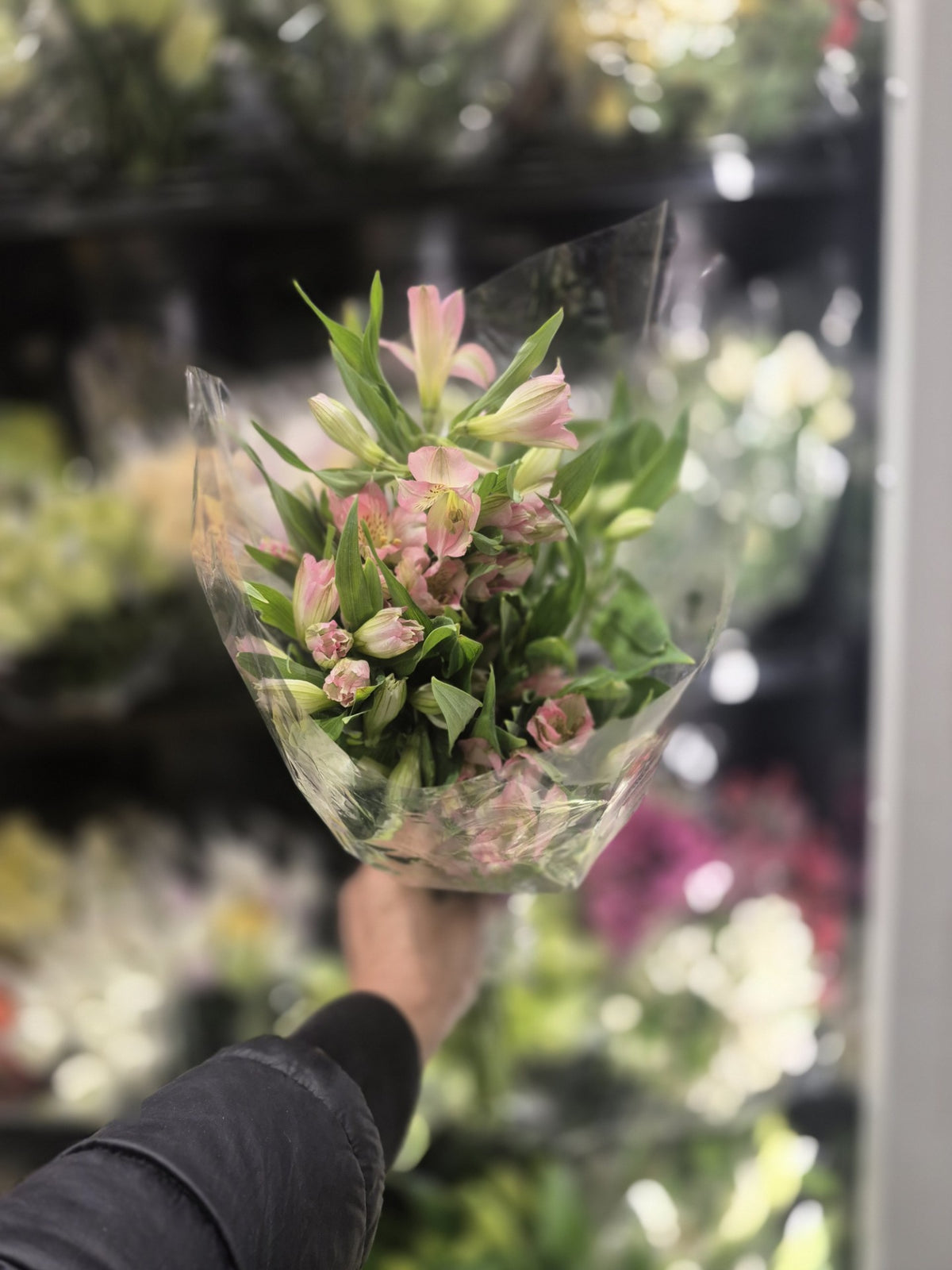 Flowers 1 Bunch *ship at own risk - 1 x 2 KG
