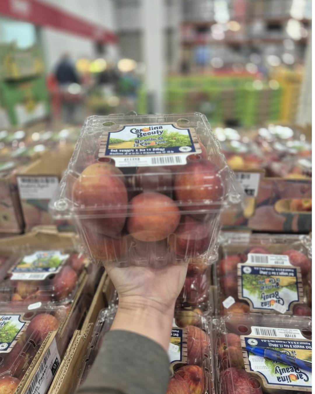 Yellow Peaches - 1 x 1.36 Kilos