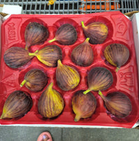 Thumbnail for Fresh Figs - 1 x 565 Grams