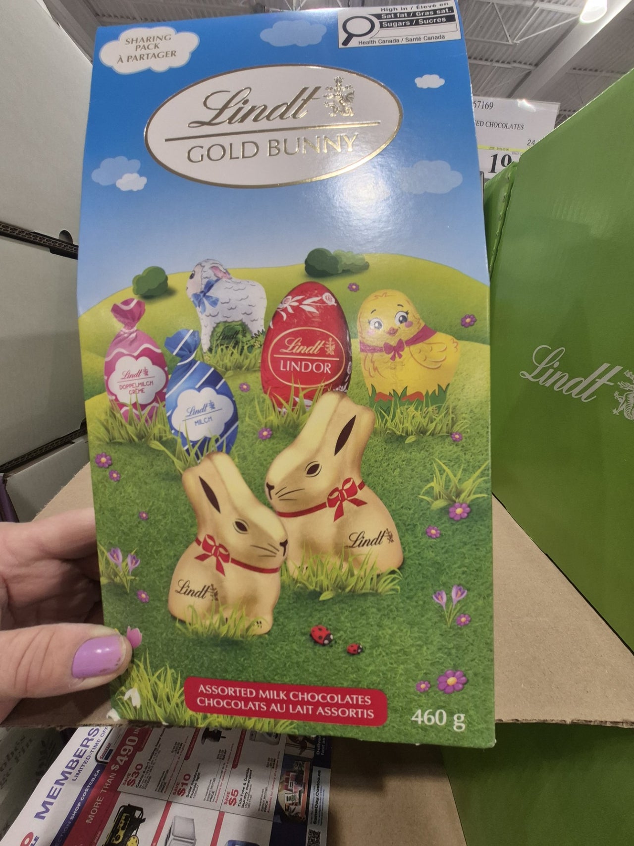 Lindt Assorted Bunny Chocolates - 1 x 460 Grams