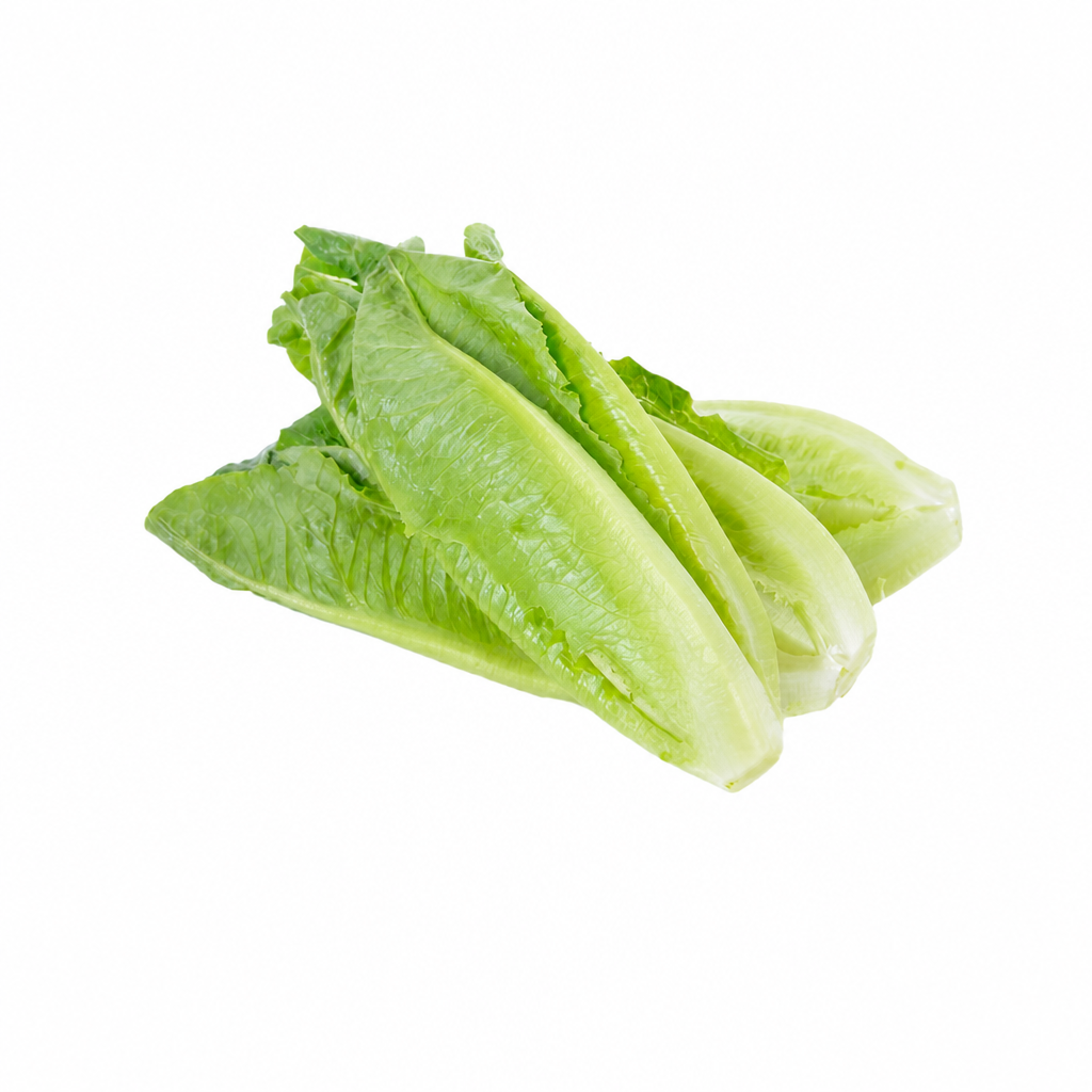 Lettuce Romaine Heart 3 pck - 1 x 1.4 KG