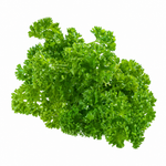 Parsley Curly Bunch - 1 x 180 Grams