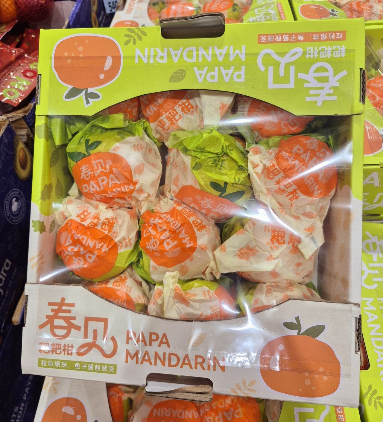 Papa Mandarins - 1 x 2.5 KG