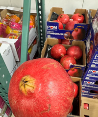 Thumbnail for Pomegranate 4-Pack - 1 x 2.5 KG