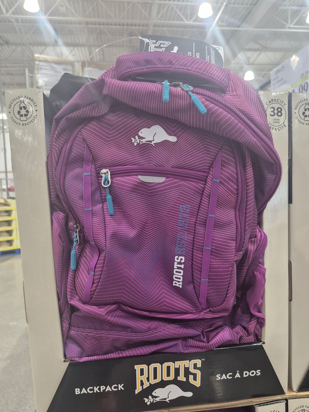 Roots Backpack 38L Capacity - 1 x 800 Grams