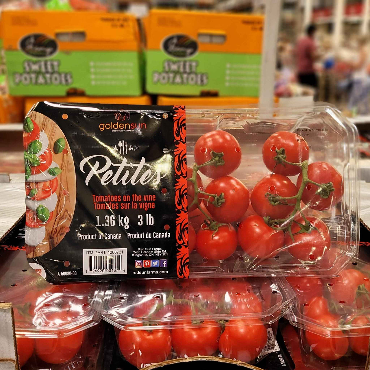 Image of Petites Tomatoes On The Vine - 1 x 1.36 Kilos