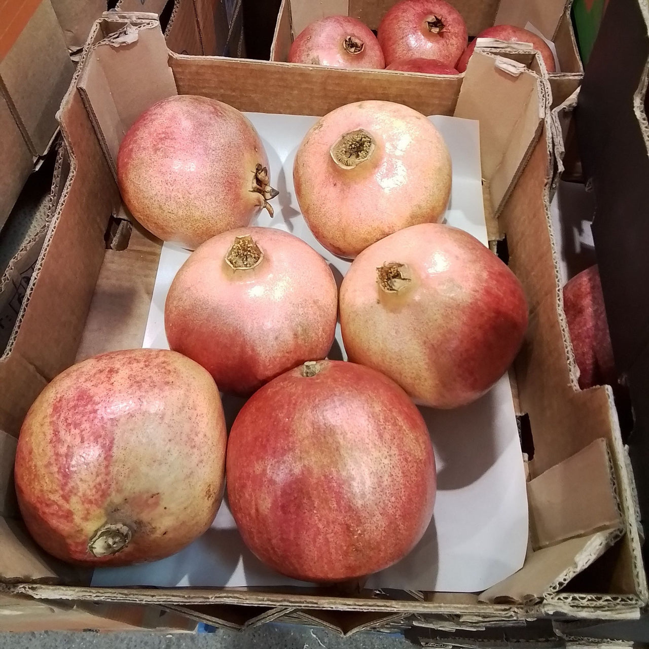 Image of Pomegranates Pack of 6 (4kg)
