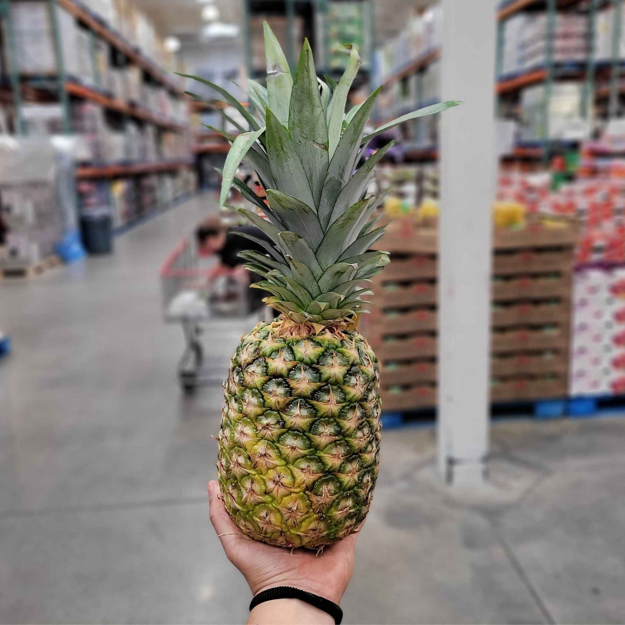 Image of Pineapple 2.27kg