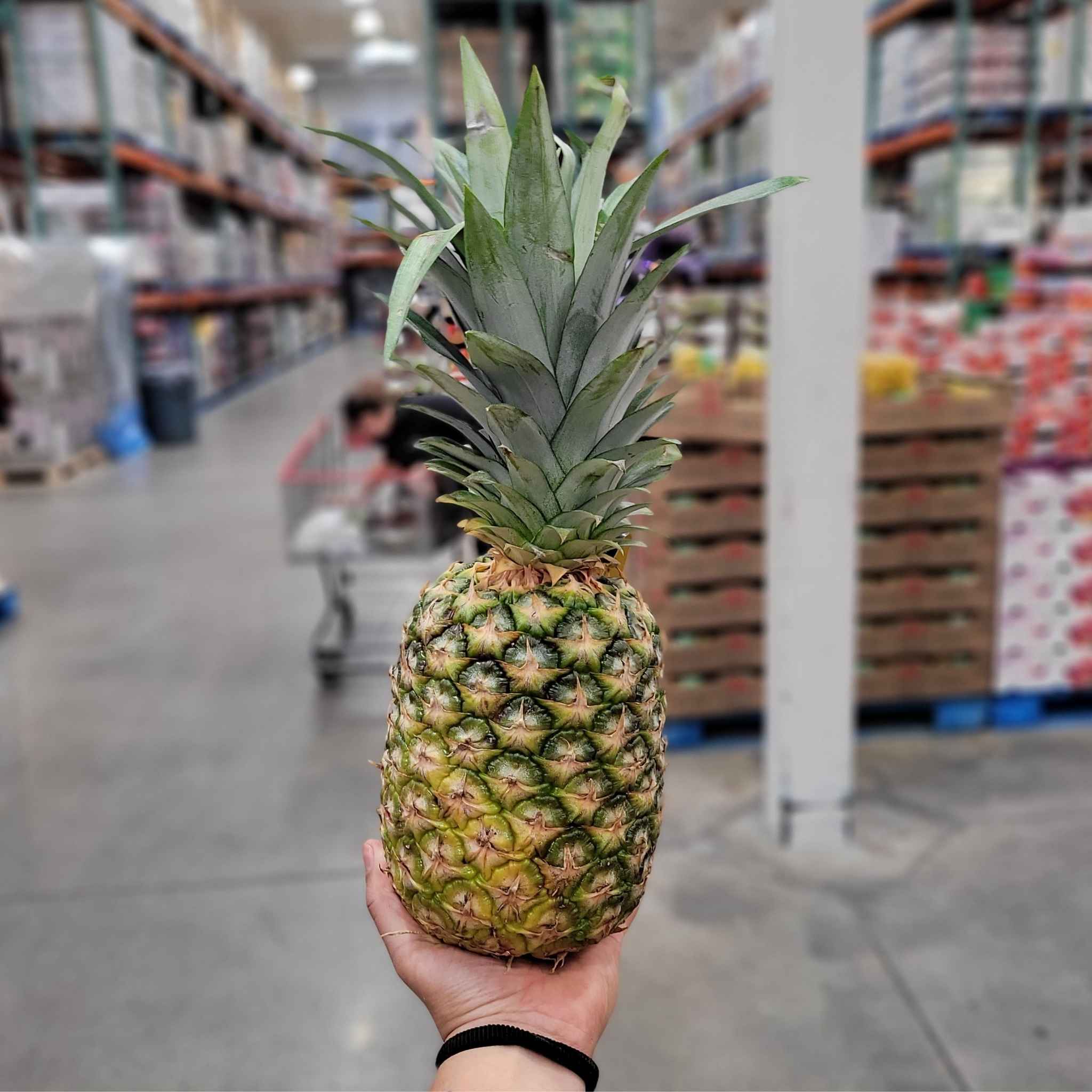 Pineapple 1 x 2.27 Kilos Shipped to Nunavut The Northern Shopper