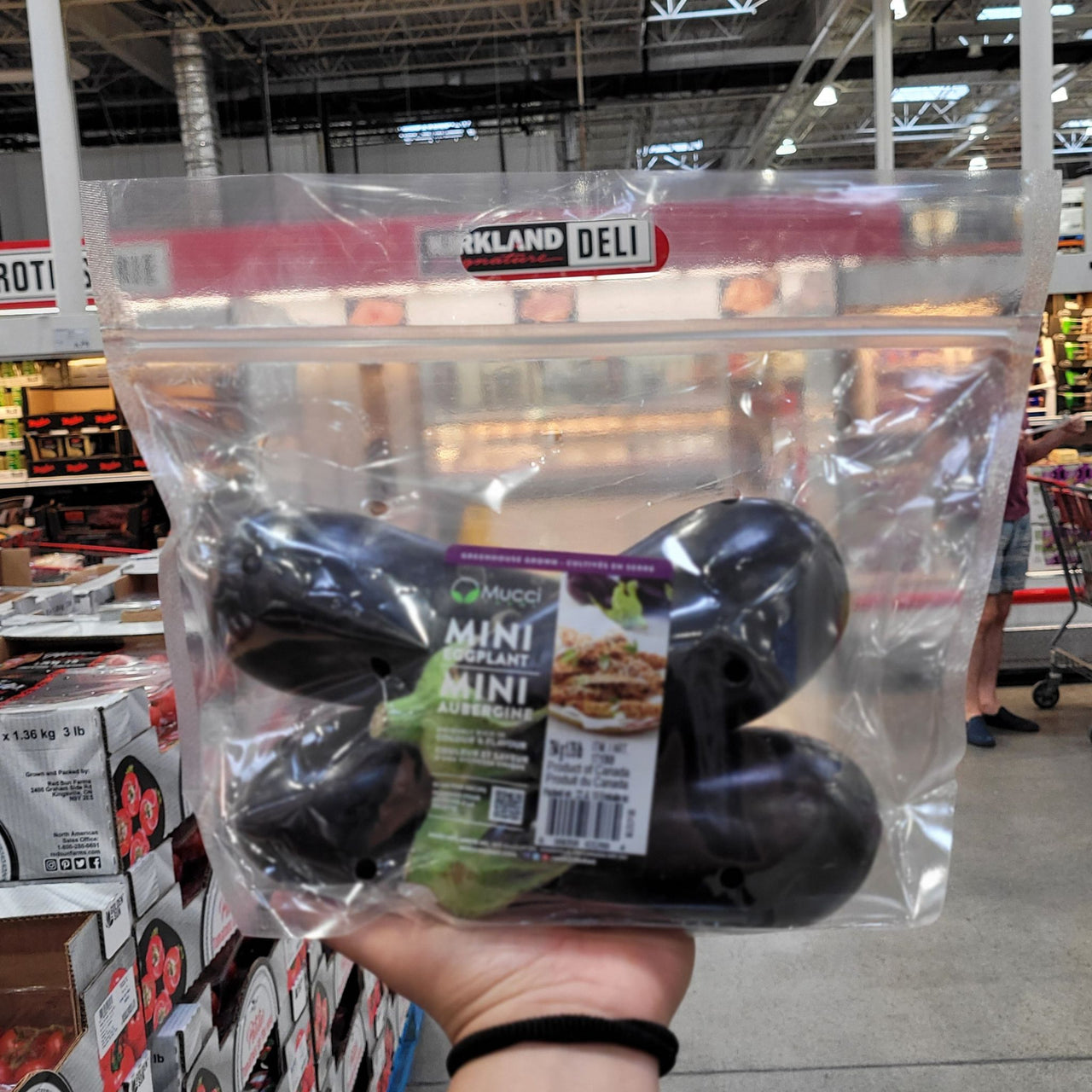 Image of Baby Eggplants