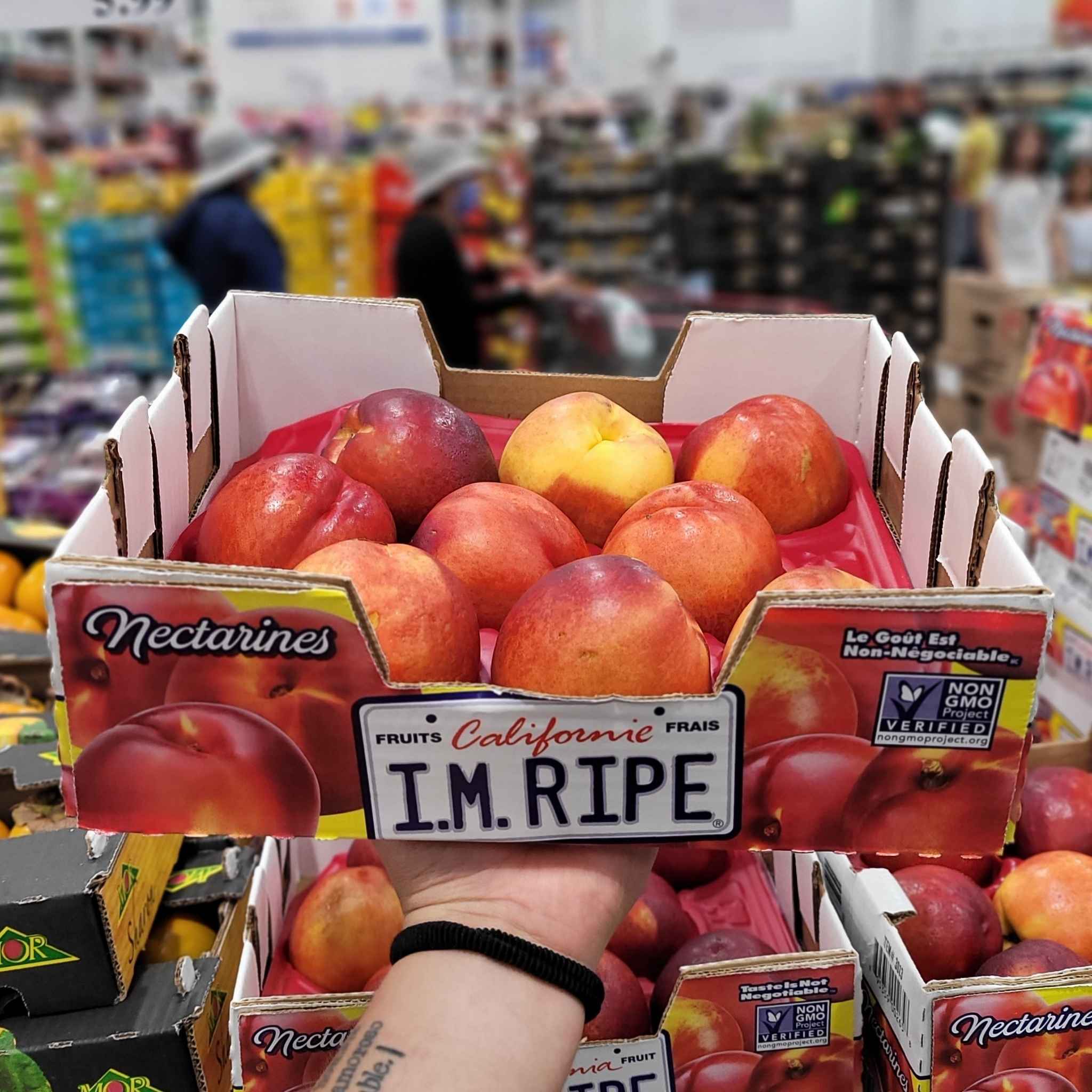 Yellow Nectarines 1 x 1.81 Kilos Shipped to Nunavut The Northern