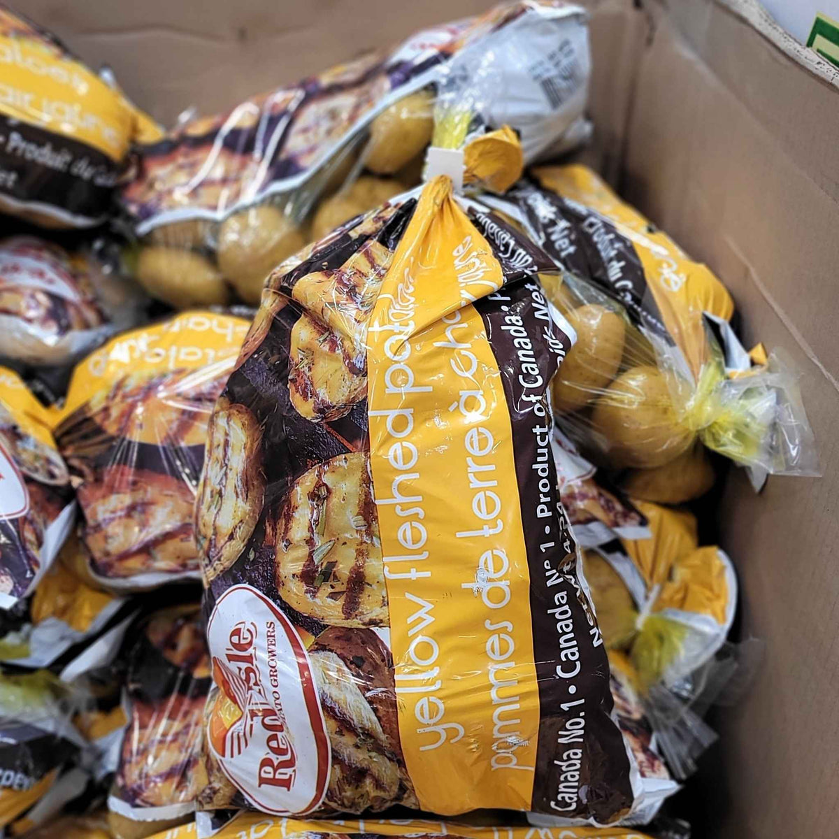 Image of Yellow Potatoes - 1 x 4.54 Kilos