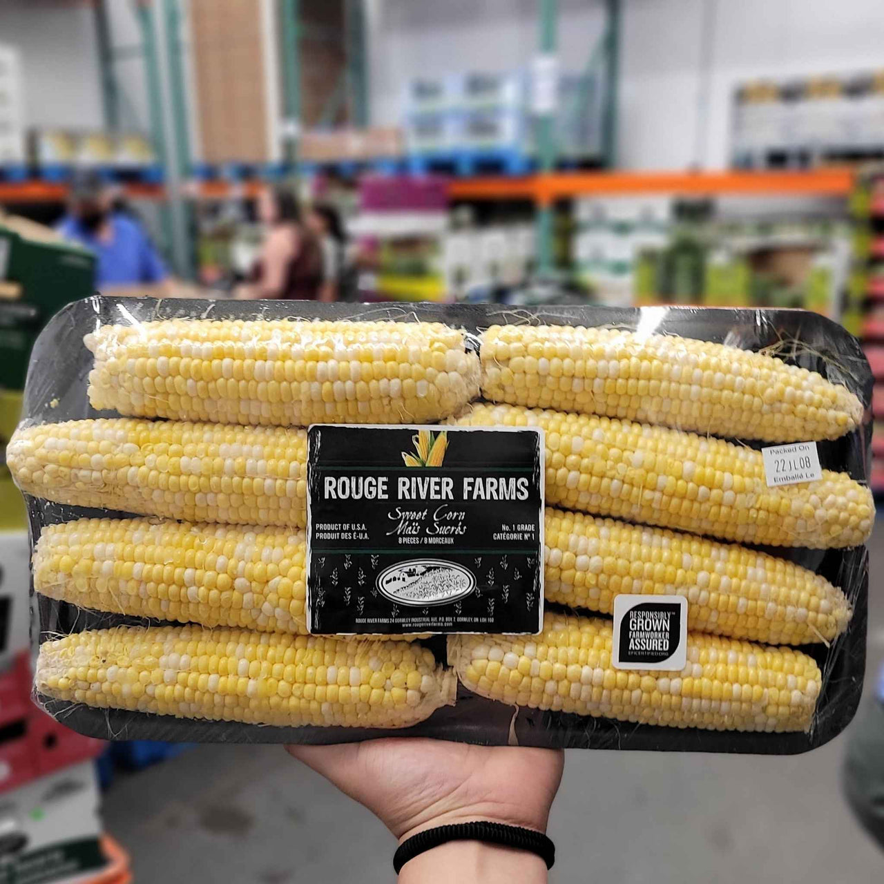 Image of Sweet Corn - 1 x 1.46 Kilos