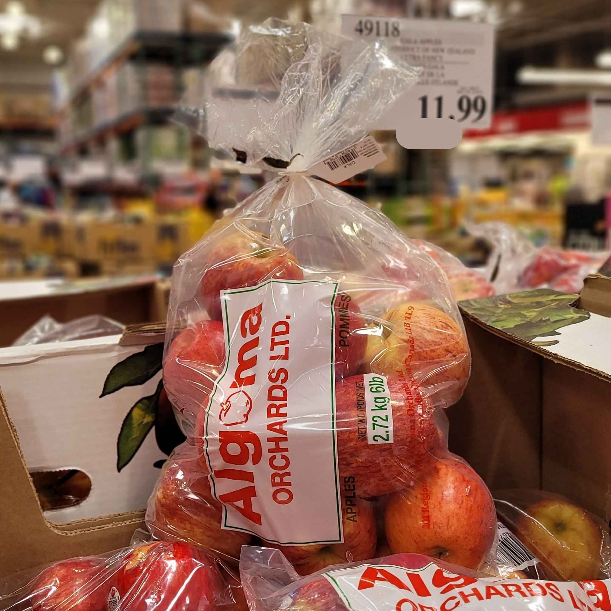 Gala Apples 1 x 2.72 Kilos Shipped to Nunavut The Northern Shopper