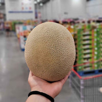 Thumbnail for Image of Cantaloupe (just one)