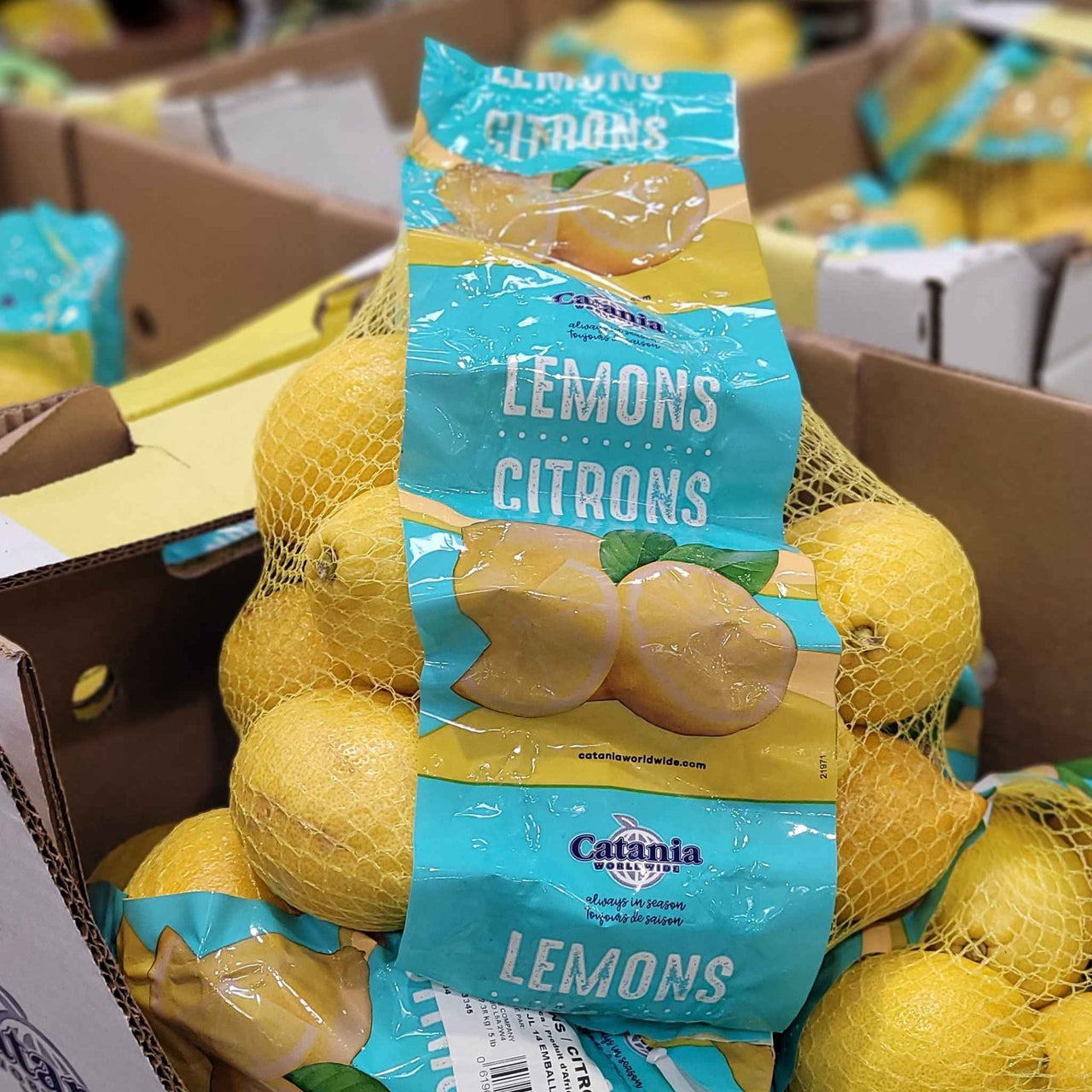 Image of Lemons - 1 x 2.28 Kilos