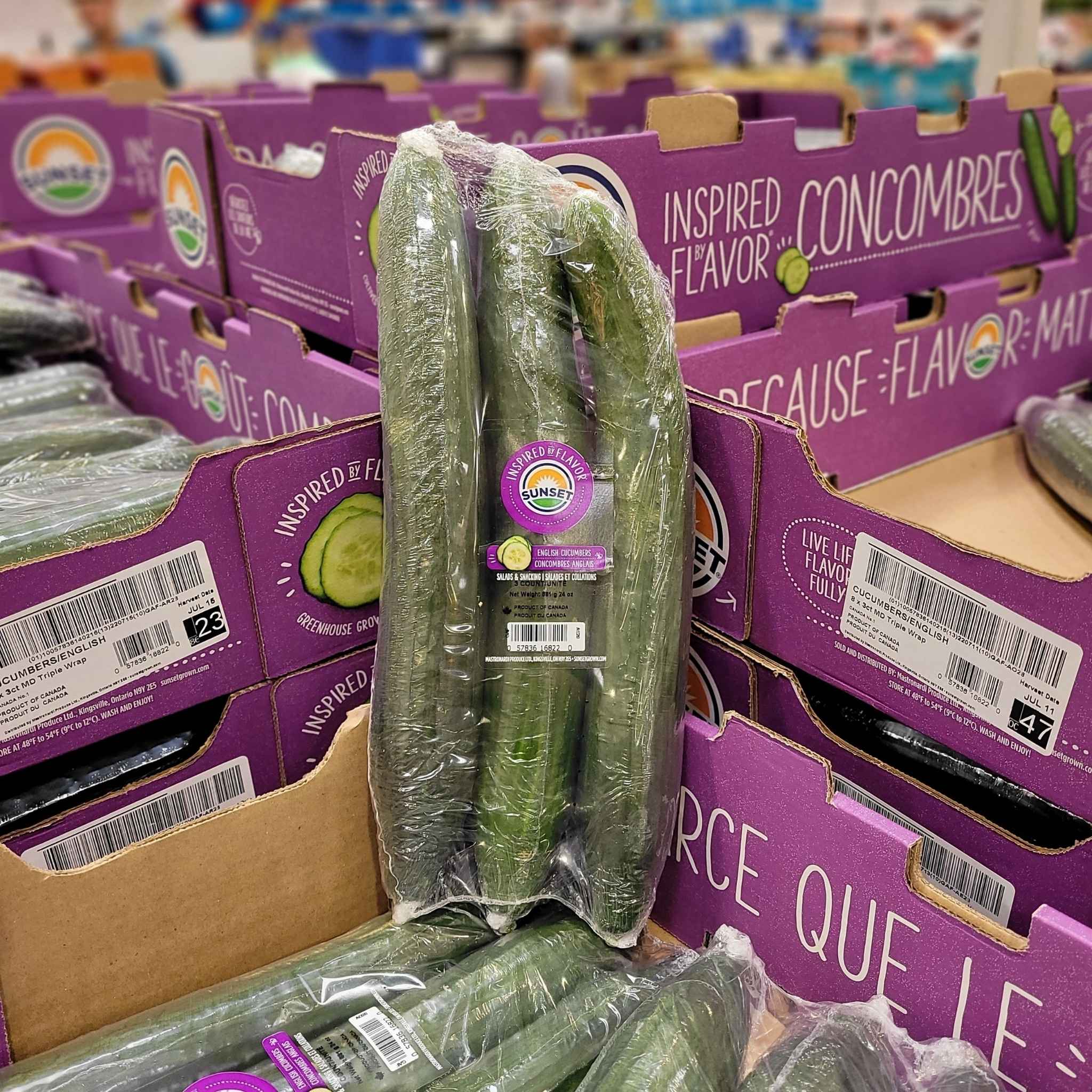 Cucumber 3Pack 1 x 1.29 Kilos Shipped to Nunavut The Northern Shopper